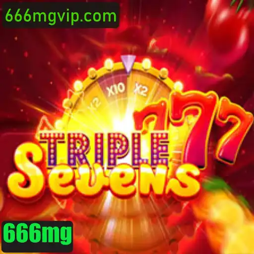666mg FAQ