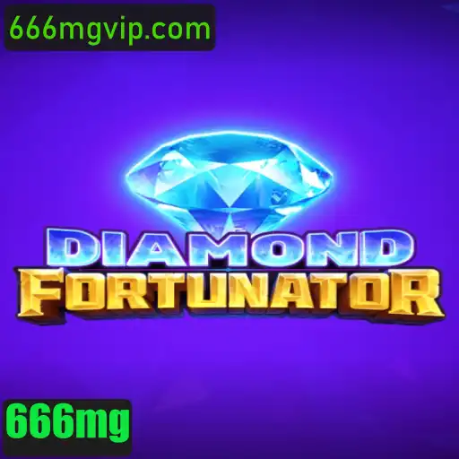 666mg Sobre nós